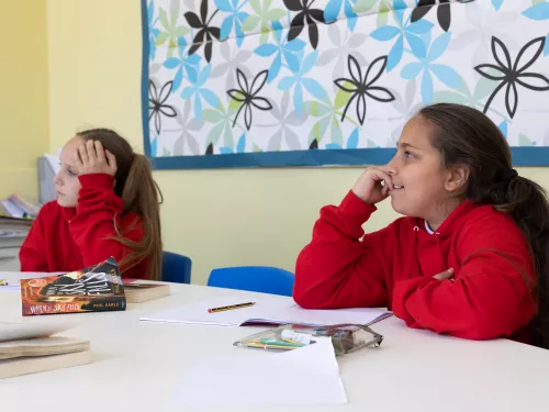 Two pupils are engaged in a tuition session. 