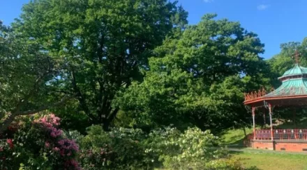 A bright, sunny day with a bright green tree and river in Sefton Park, Merseyside.